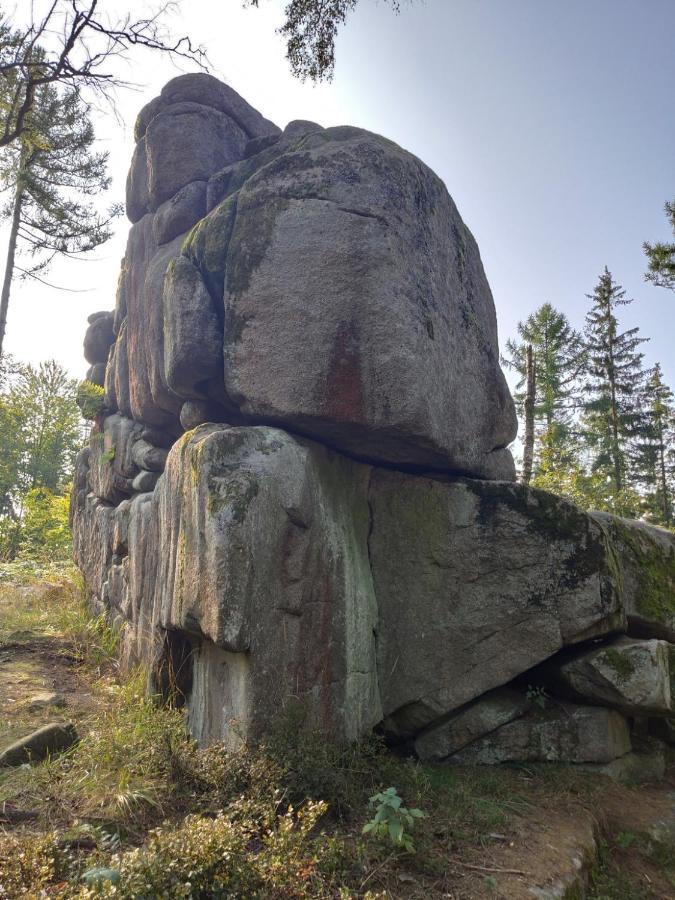 Ferienwohnung Cassiopeia Harzgerode Bagian luar foto